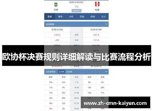 欧协杯决赛规则详细解读与比赛流程分析